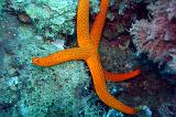 2009-09-07 10-40-37Li